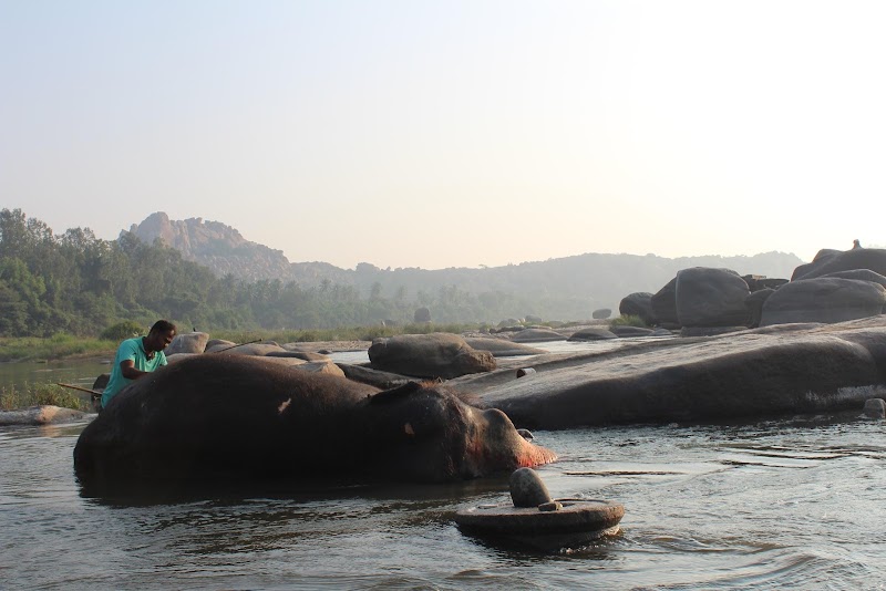 Tungabhadra River Ghats - Tungabhadra River Ghats, 8FP5+PHG, Hampi, Karnataka 583239, India