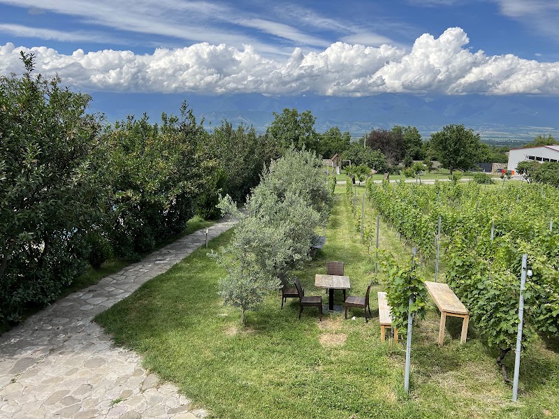 Schuchmann Wines Chateau - Schuchmann Wines Chateau, WG2R+2G4, Kisiskhevi, Georgia
