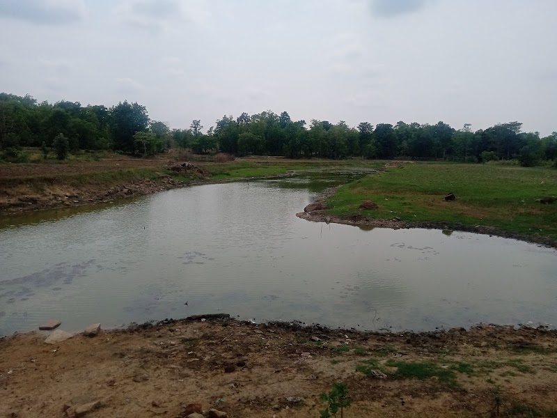 Bhanpur gp tikrapada - Bhanpur gp tikrapada, Tikrapada, Bhanpur, Odisha 766104, India