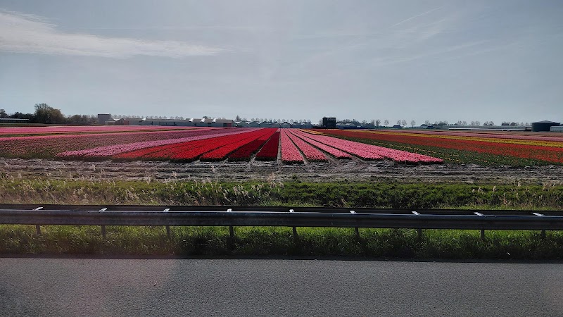 Flagship Tours - Departure Location - Flagship Tours - Departure Location, Termini 27, 1025 AZ Amsterdam, Netherlands