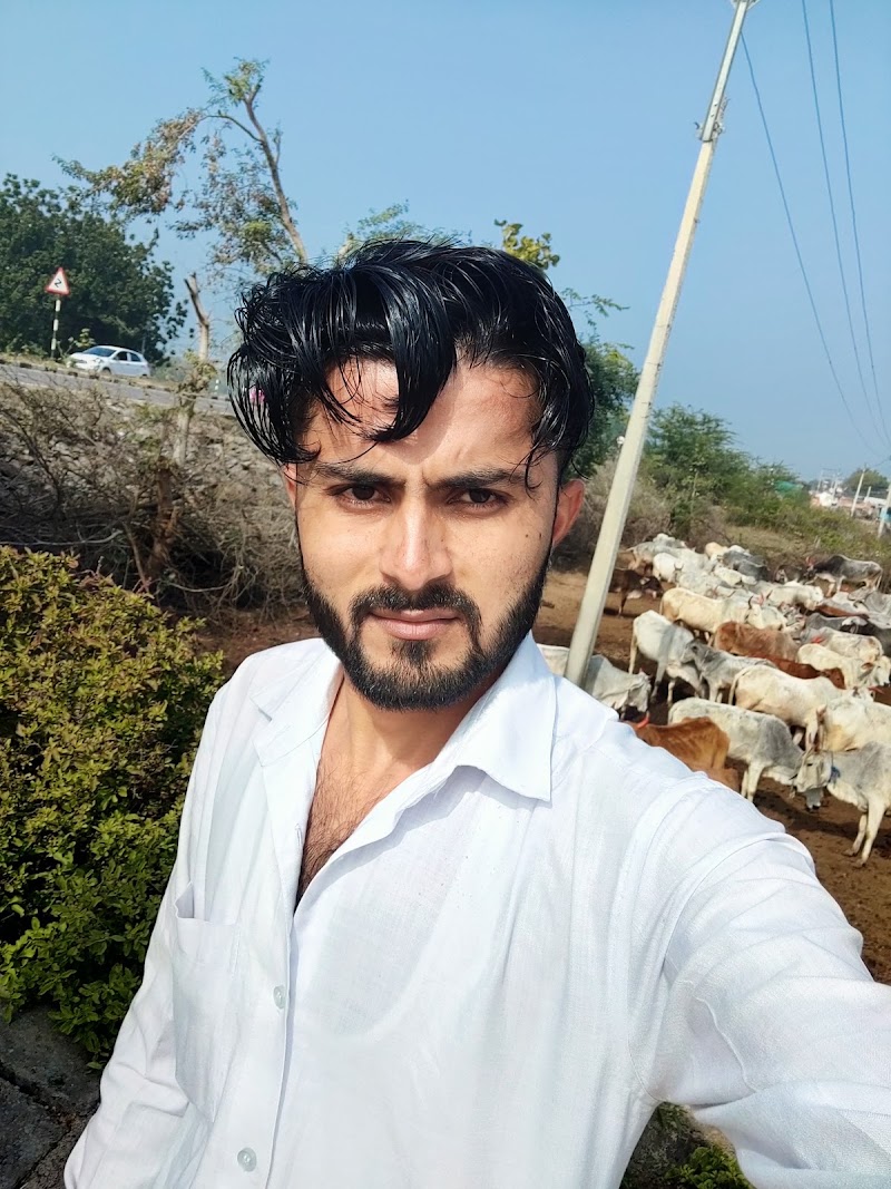 Gaushala - Gaushala HFQR+27, Chirula, Madhya Pradesh 475661, India