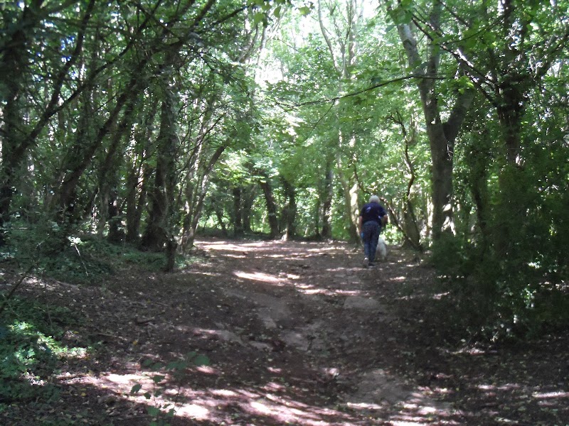 Cadbury Hill Fort - Cadbury Hill Fort, Congresbury, Bristol BS49 5AH, UK