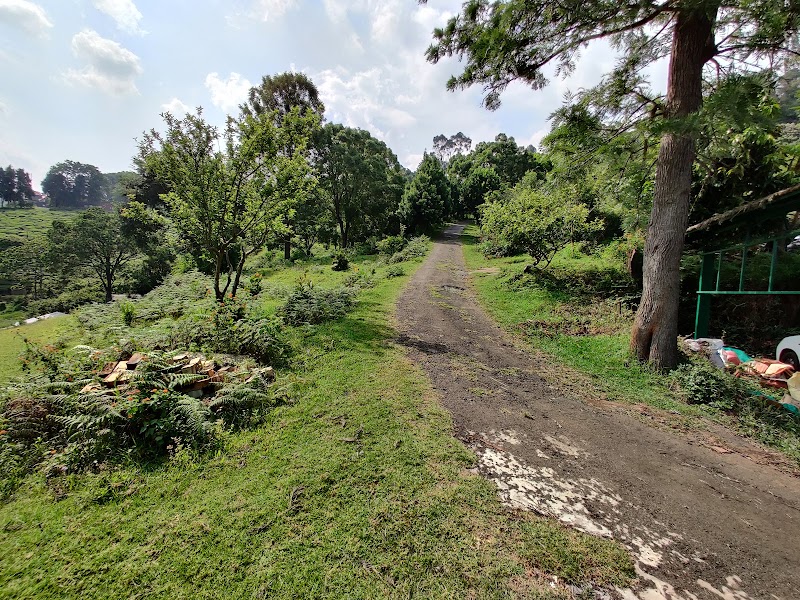 Acres Wild farmstay Coonoor - Acres Wild farmstay Coonoor, 571 Upper Meanjee Estate Kannimariamman, DM Kovil St, Coonoor, Tamil Nadu 643101, India