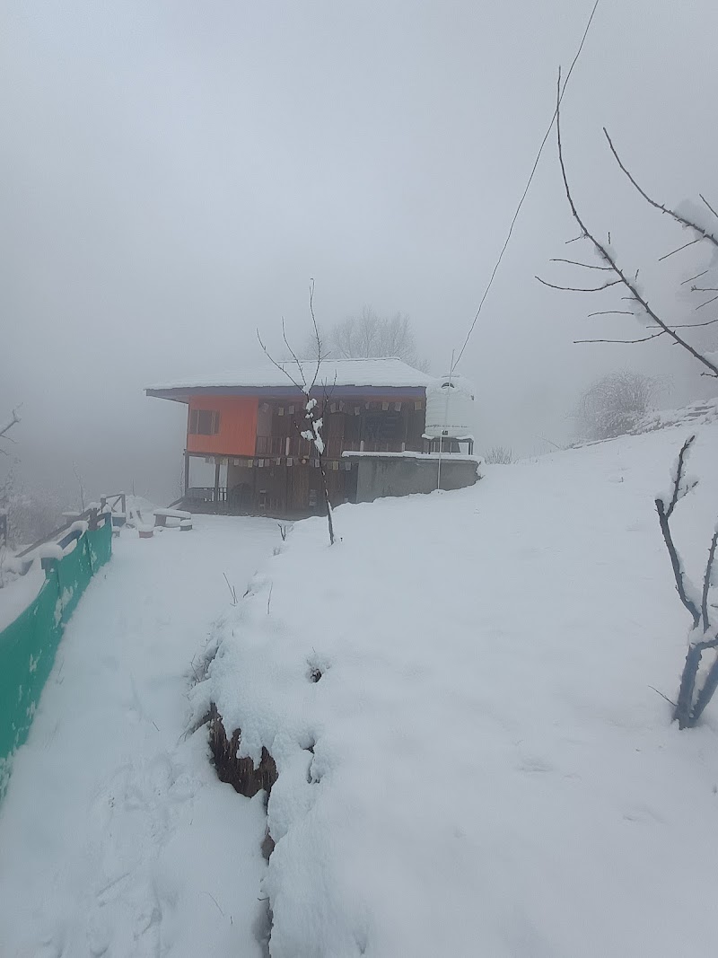 The Vibes Homestay - The Vibes Homestay, Post office, Gadagushain, Gadagusshain, Shukad, Himachal Pradesh 175123, India