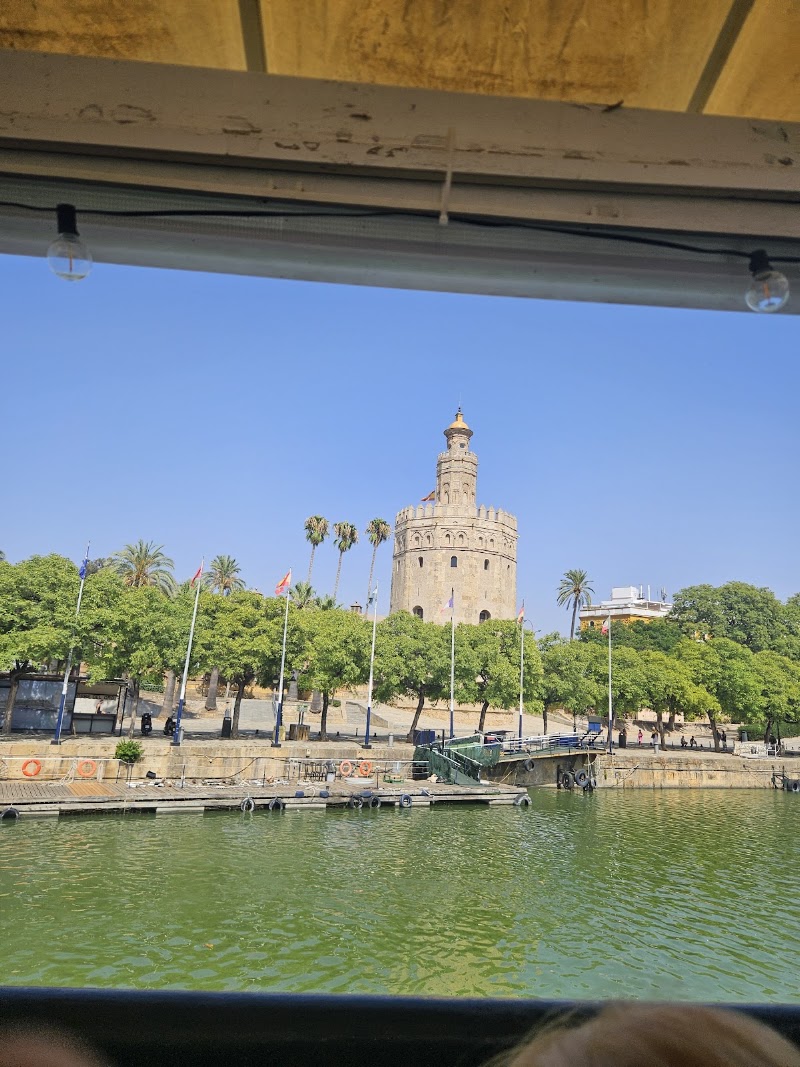 Boat trip - Boat trip Puente de S. Telmo, 7, 41013 Sevilla, Spain