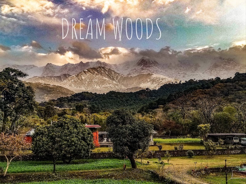 Dreamwoods - Dreamwoods, tea estate jhikkar, Gharoh, Dharamshala, Jhikkar, Himachal Pradesh 176217, India