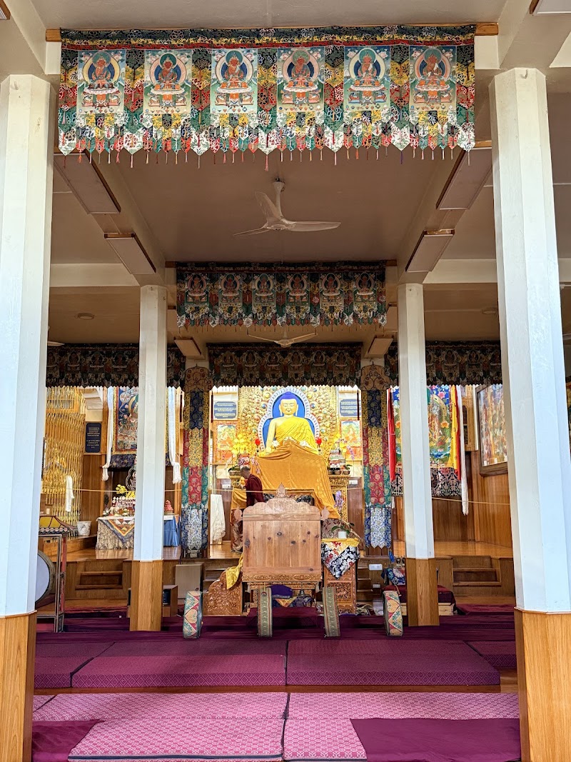 Dalai Lama Temple - McLeod Ganj - Dalai Lama Temple - McLeod Ganj 68MF+3W9, Temple Rd, McLeod Ganj, Dharamshala, Himachal Pradesh 176215, India