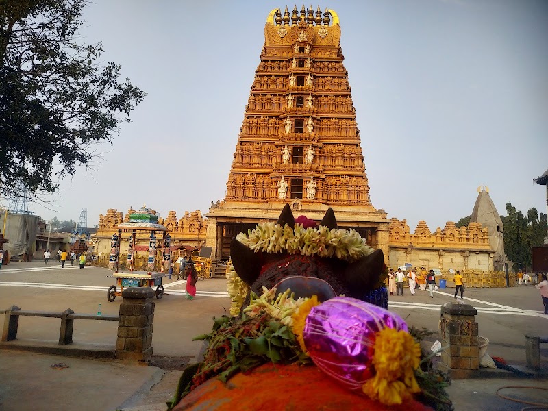 Nanjanagudu - Nanjanagudu, Karnataka, India