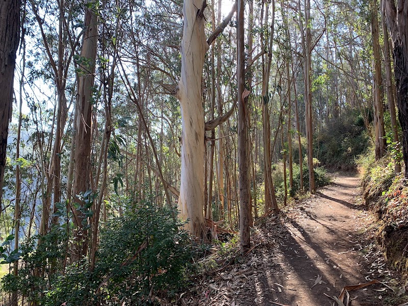 Montara Mountain Trailhead - Montara Mountain Trailhead 600 Oddstad Blvd, Pacifica, CA 94044, USA