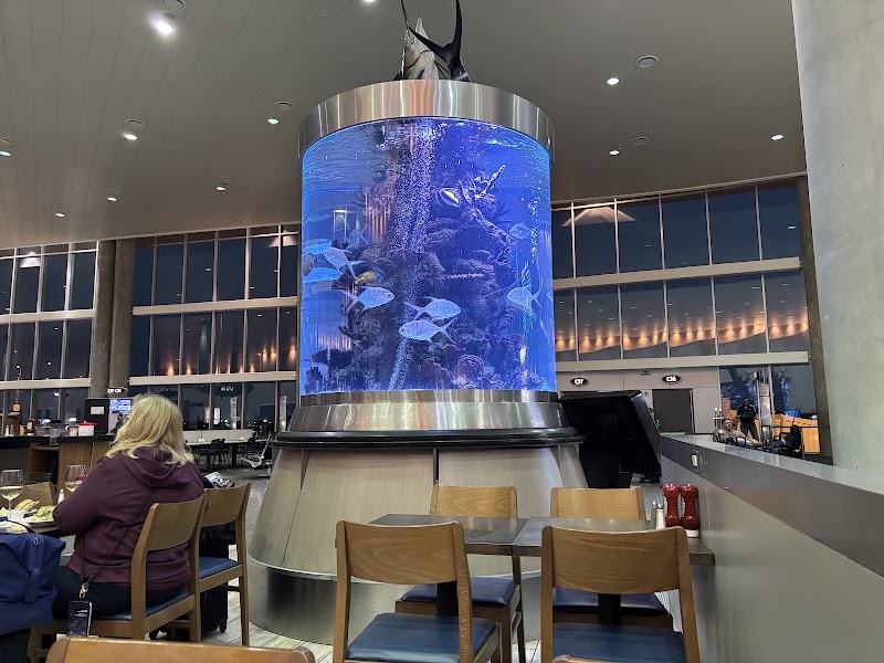 Tampa International Airport - Tampa International Airport 4100 George J. Bean Pkwy, Tampa, FL 33607, USA