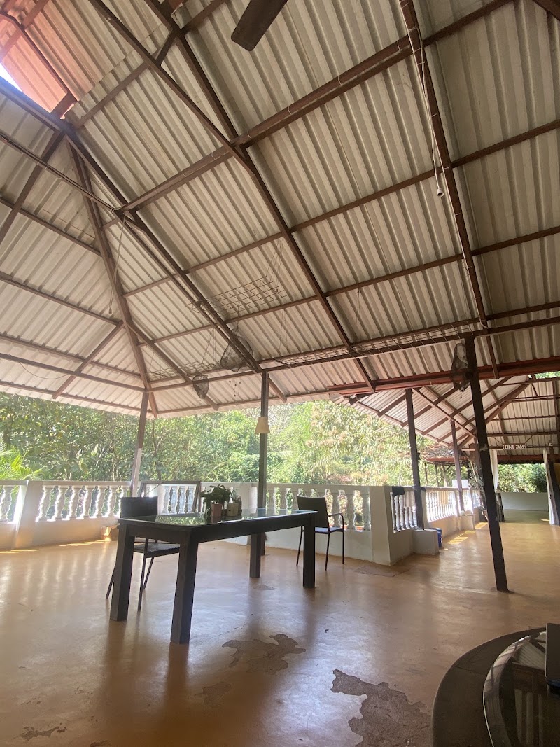 Satori Wellness | Integrative Recovery Studio - Satori Wellness | Integrative Recovery Studio Awani Plant Cafe, Arambol Beach Rd, Arambol, Goa 403527, India