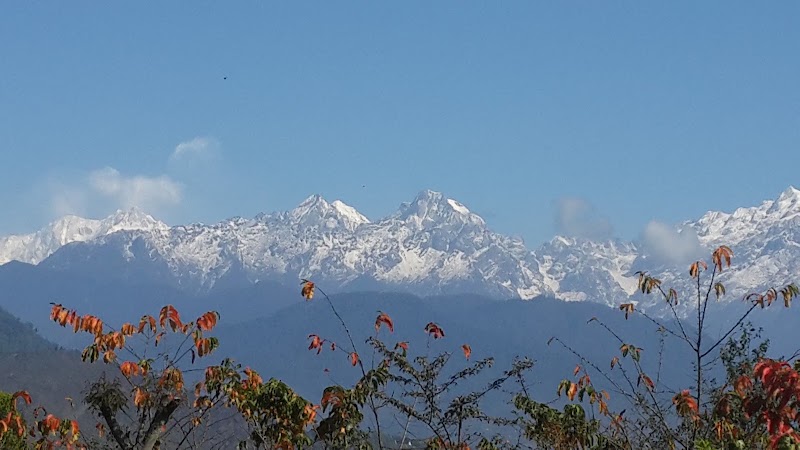Yangsum Heritage Farm, Yangsum Chingthang - Yangsum Heritage Farm, Yangsum Chingthang Yangsum Chingthang, Block, Rinchenpong, Sikkim 737111, India