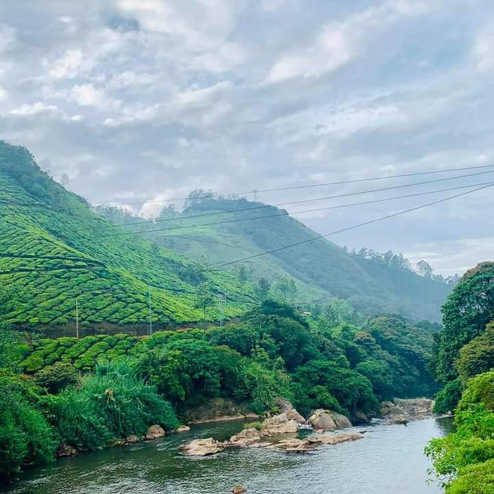 Kerala Tourism Information - Kerala Tourism Information, Kumaranellur, Kerala 679552, India