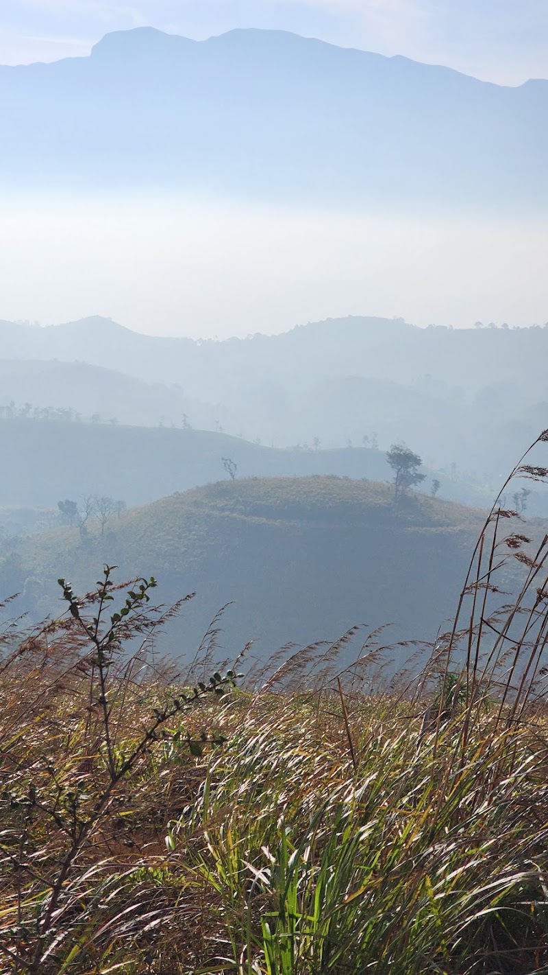 Nilgiri hills view point - Nilgiri hills view point Nelliyalam, Nadugani, Tamil Nadu 643211, India