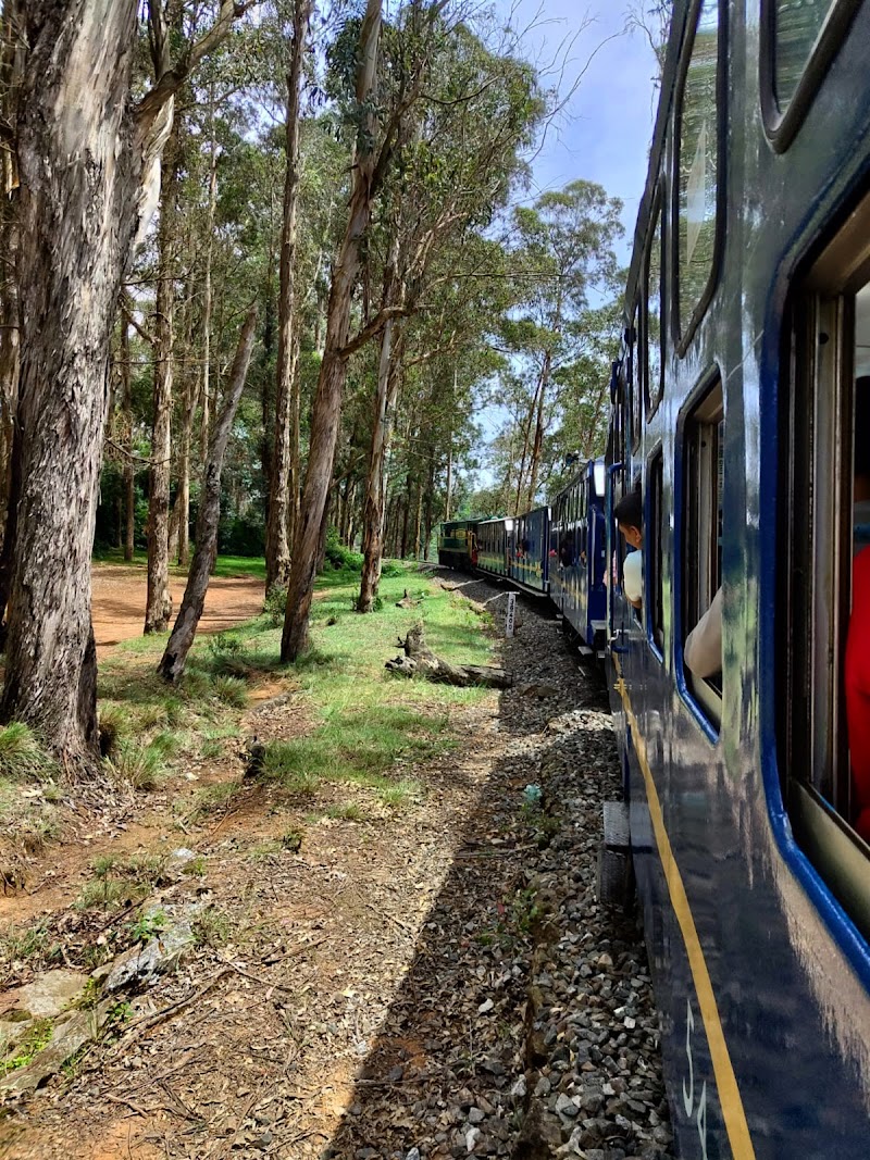 Nilgiri Mountain Railway Line - Nilgiri Mountain Railway Line, Ooty, Tamil Nadu, India