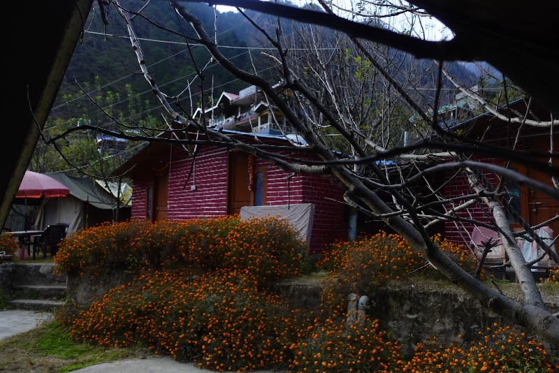 Apple garden cafe and cottage - Apple garden cafe and cottage, Choj, Village, Kasol, Sosan, Himachal Pradesh 175105, India