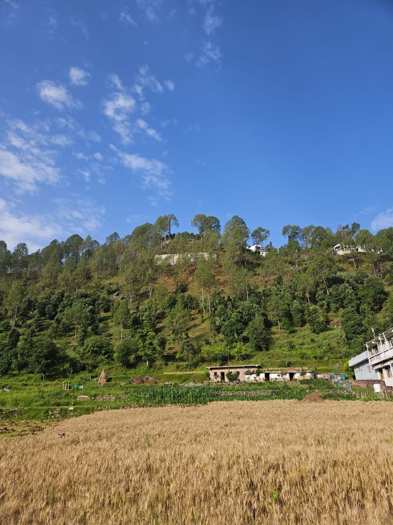 The Central House Home Stay - The Central House Home Stay, The central house homestay, near nanteen baba ashram, near tea garden shyamkhet, Bhowali, Sukha, Uttarakhand 263156, India
