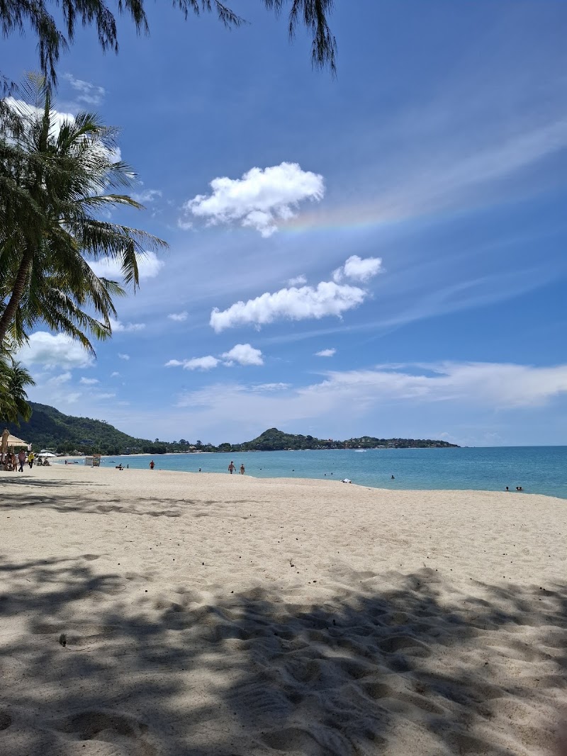 ละไม อินน์ - Lamai Inn 99 - ละไม อินน์ - Lamai Inn 99 109/11 หมู่3 Tambon Maret, Amphoe Ko Samui, Chang Wat Surat Thani 84310, Thailand