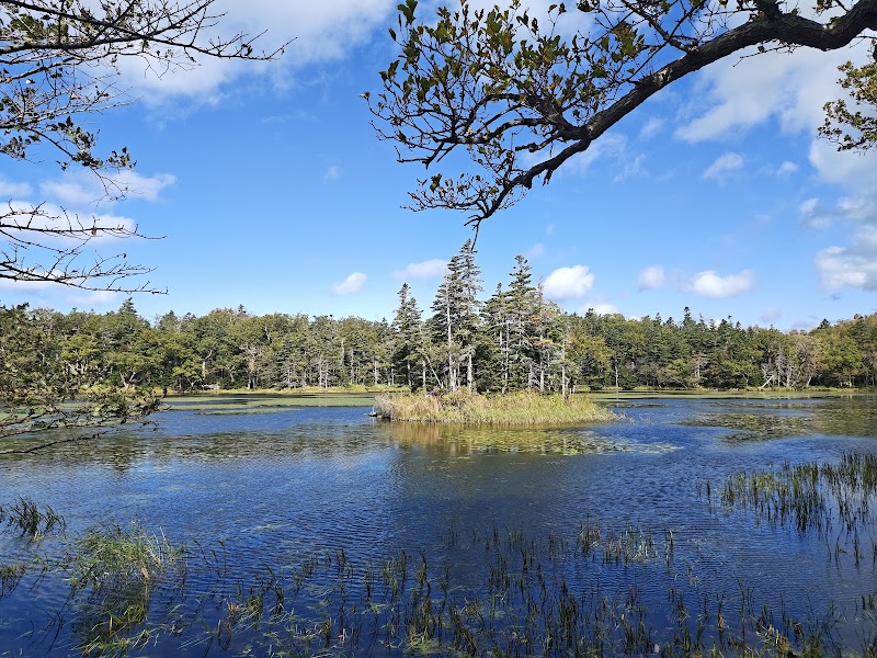 Shiretoko National Park - Shiretoko National Park, Japan, Hokkaido, Shari District, Shari, ・目梨郡羅臼町