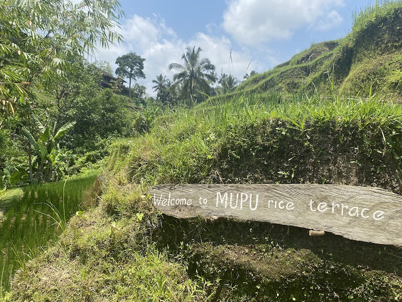 Mupu Rice Terrace - Mupu Rice Terrace Tegallalang, Gianyar Regency, Bali 80561, Indonesia