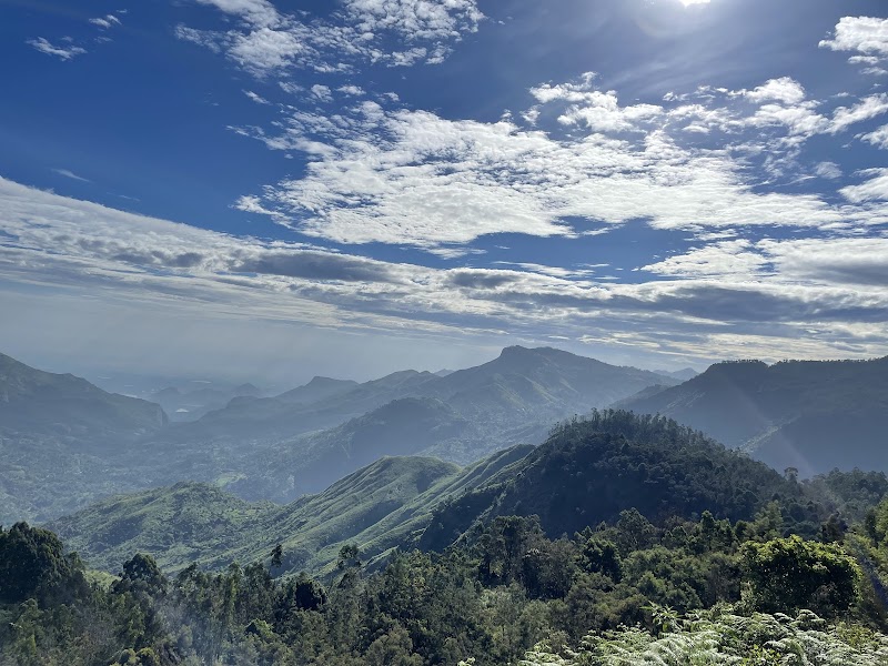 Cafe with Beautiful view - Cafe with Beautiful view MDR117, Rd, Kookal, Poombarai, Tamil Nadu 624103, India