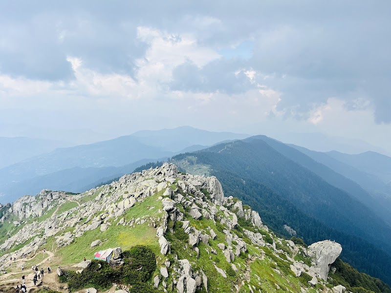 Churdhar Trek point - Churdhar Trek point, RC99+6P, Nohra, Bhog Batewari, Himachal Pradesh 173104, India