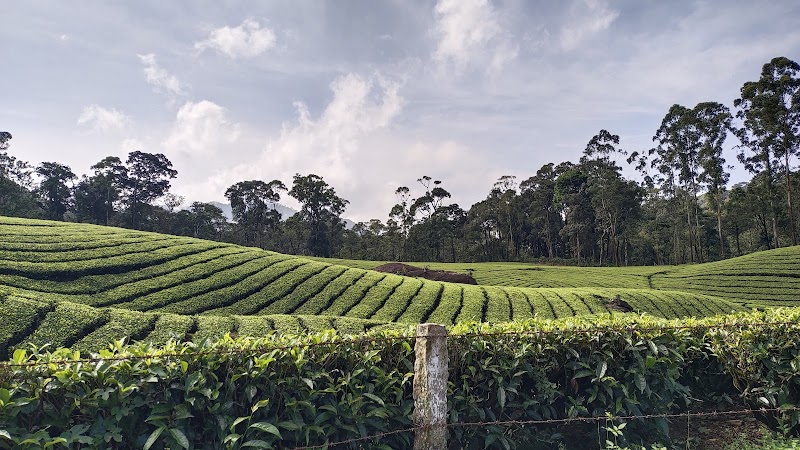 Munnar Tourism Destination