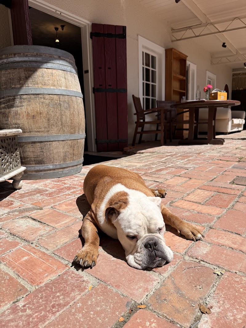Brookfields Vineyards - Brookfields Vineyards, 378 Brookfields Road, Napier, Napier, Meeanee 4141, New Zealand