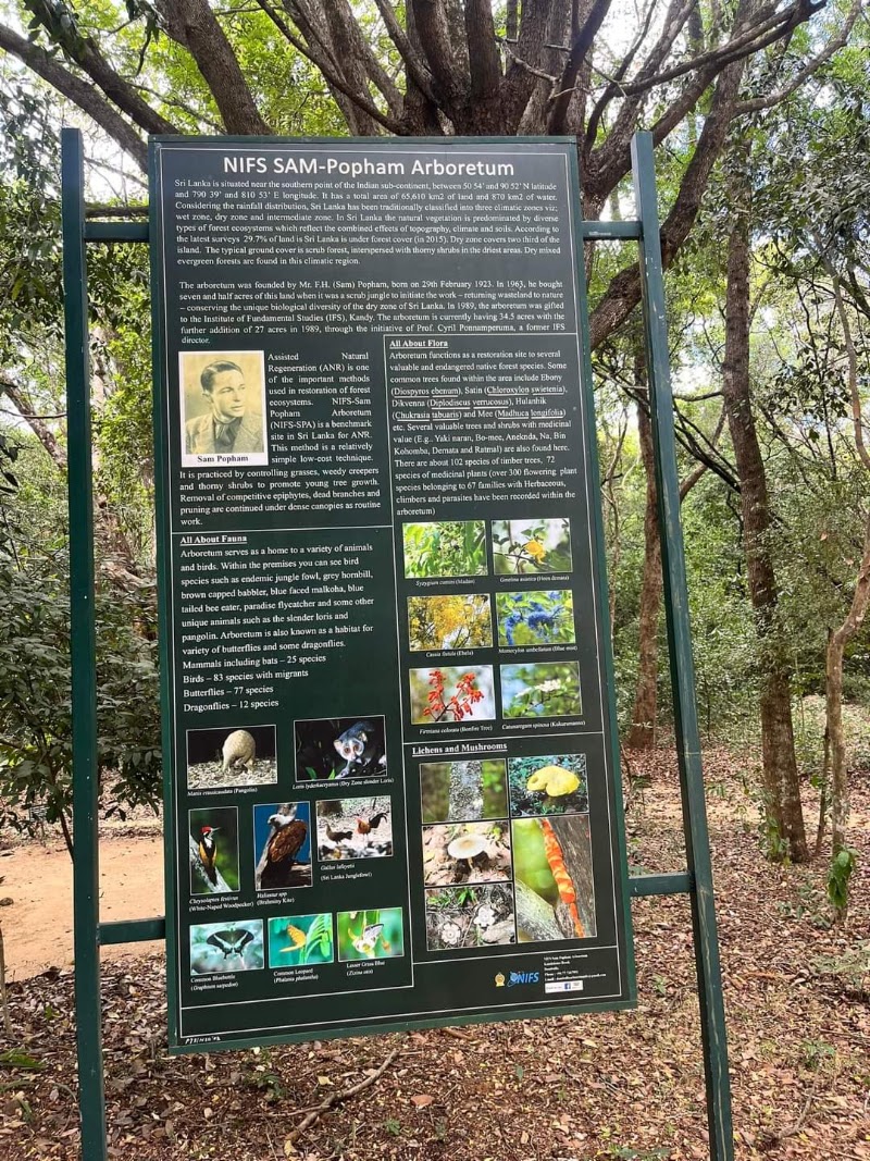 Popham's Arboretum - Popham's Arboretum Kandalama Road, Dambulla, Sri Lanka