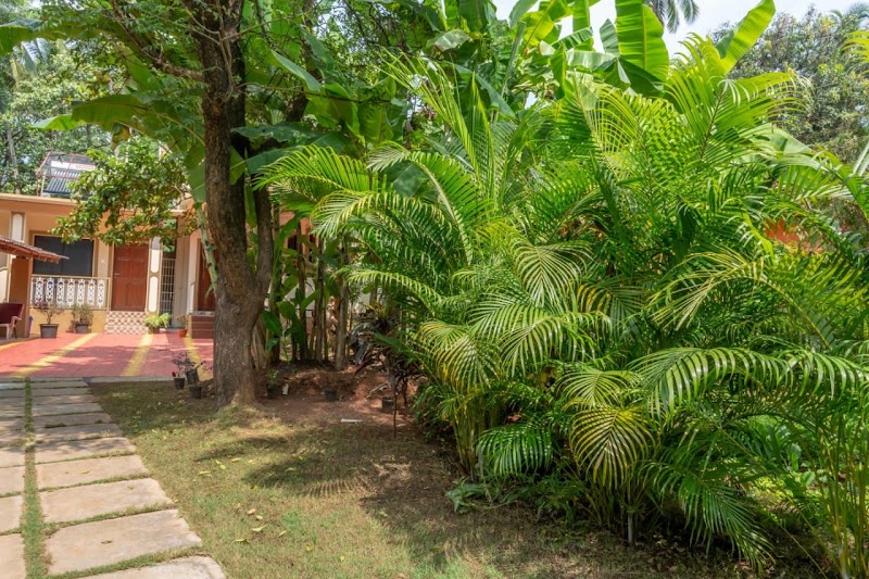 Martinet Vagator Guest House - Martinet Vagator Guest House, H No. 557 Vagator Anjuna, Vagator, Coutinho Vaddo, Anjuna, Goa 403509, India