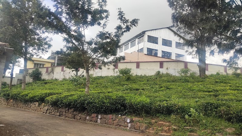 Hadathorai Tea Factory - Hadathorai Tea Factory, Kerben Road, Kotagiri, Tamil Nadu 643214, India