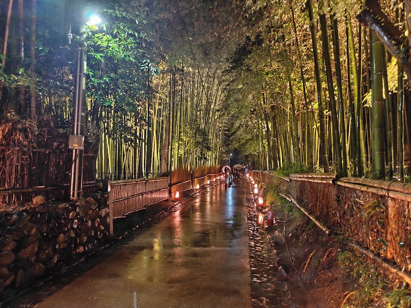 Arashiyama Bamboo Forest - Arashiyama Bamboo Forest Sagaogurayama Tabuchiyamacho, Ukyo Ward, Kyoto, 616-8394, Japan