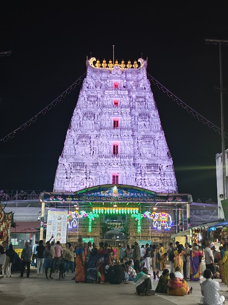 Sri Padmavati Ammavaari Temple, Tiruchanur (Alivelu Mangapuram) - Sri Padmavati Ammavaari Temple, Tiruchanur (Alivelu Mangapuram) Sannidhi St, Tiruchanur, Andhra Pradesh 517503, India