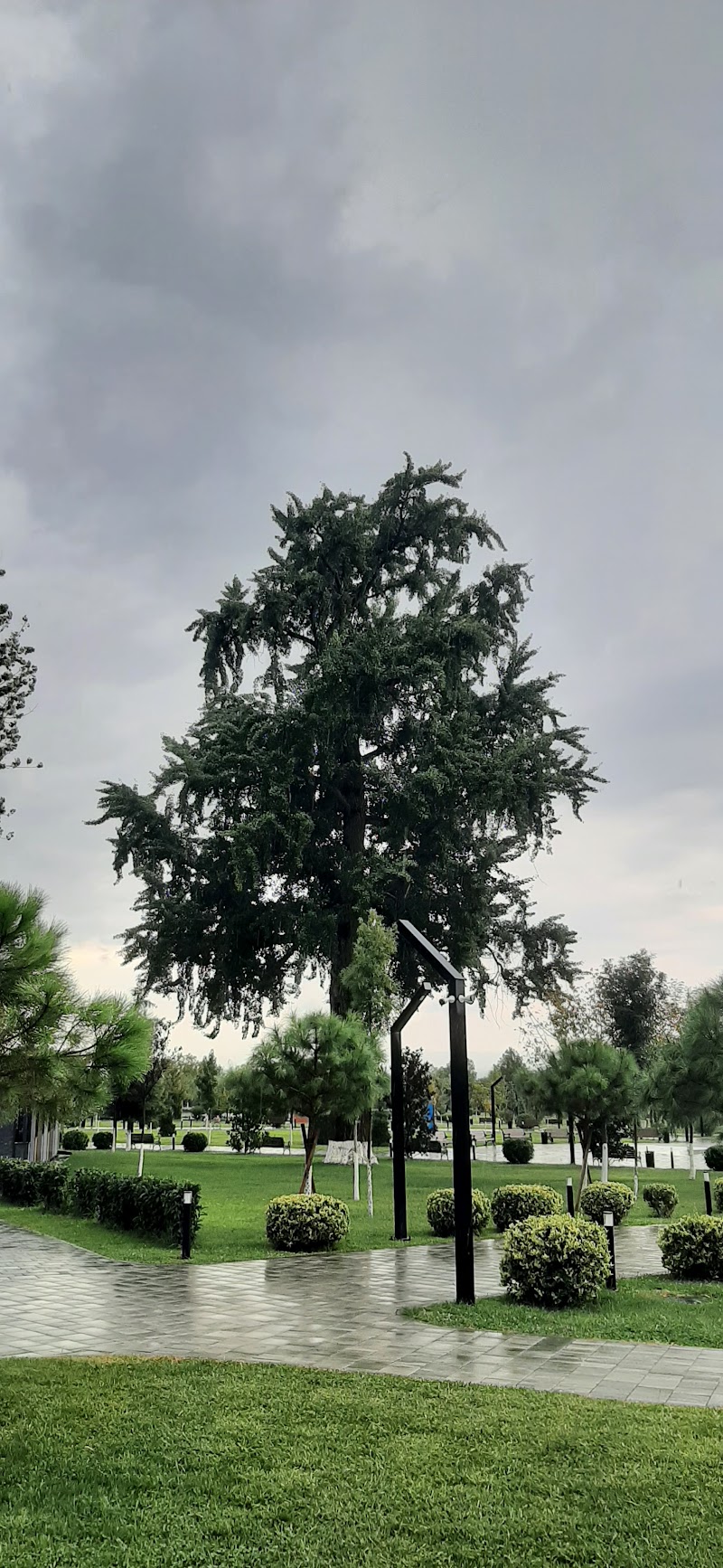 Lagodekhi Park - Lagodekhi Park, R79C+97R, Lagodekhi, Georgia