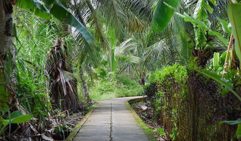 Cồn Sơn - Cồn Sơn, Bình Thủy, Cần Thơ, Vietnam