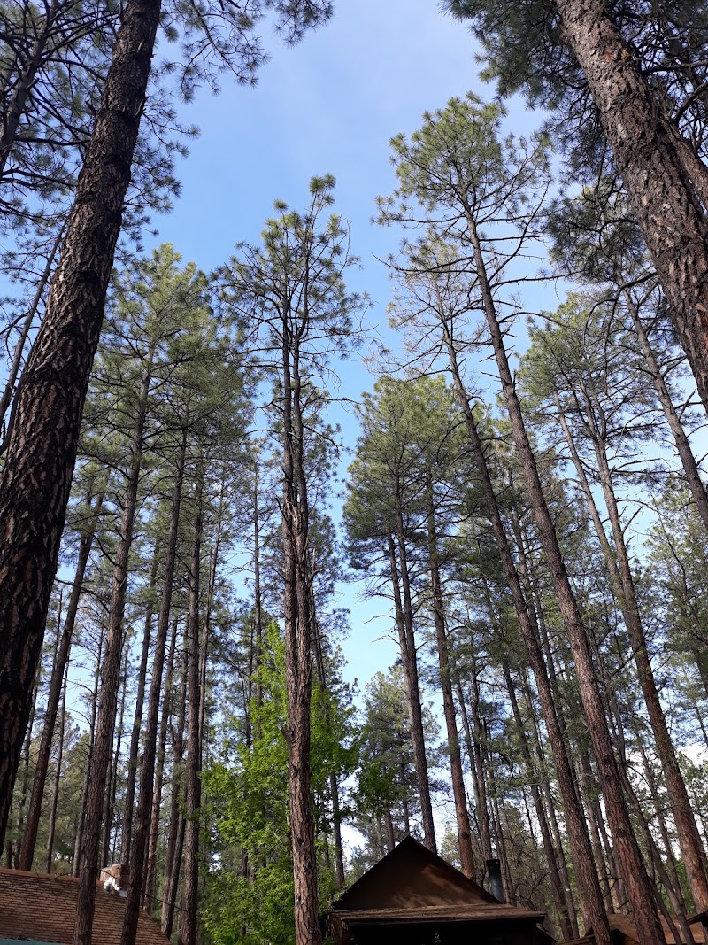 Whispering Pines Resort - Whispering Pines Resort, 237 E White Mountain Blvd, Pinetop, AZ 85935, USA