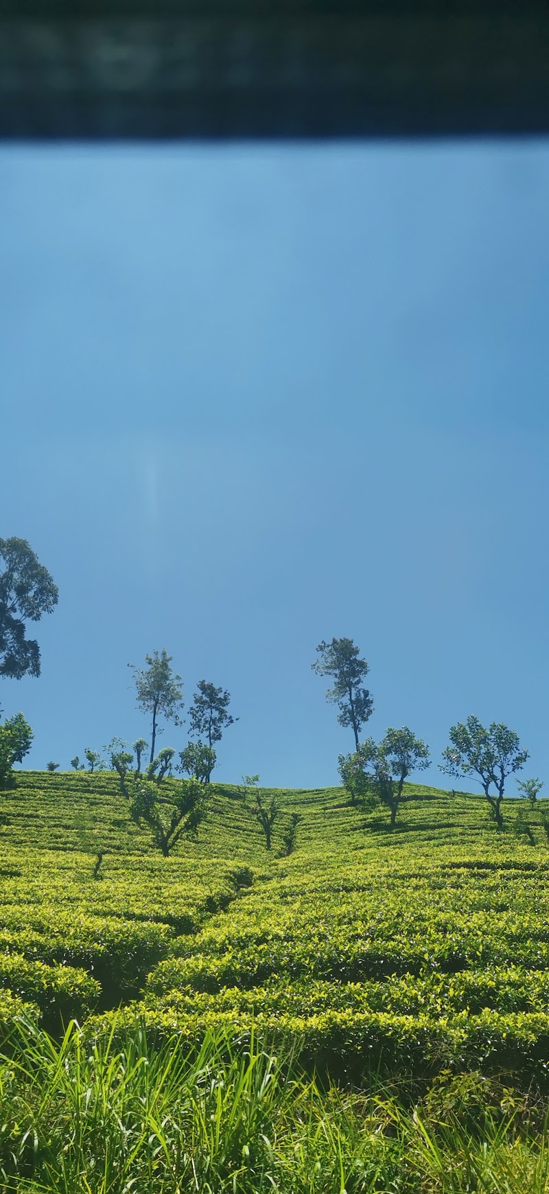 Talawakelle - Talawakelle, Sri Lanka