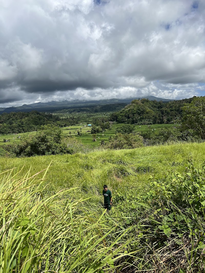 Bukit Cinta - Bukit Cinta, Abyandauh,Pangi Karangasem, HJF5+FGV, Karangasem, Kec. Karangasem, Kabupaten Karangasem, Bali 80811, Indonesia