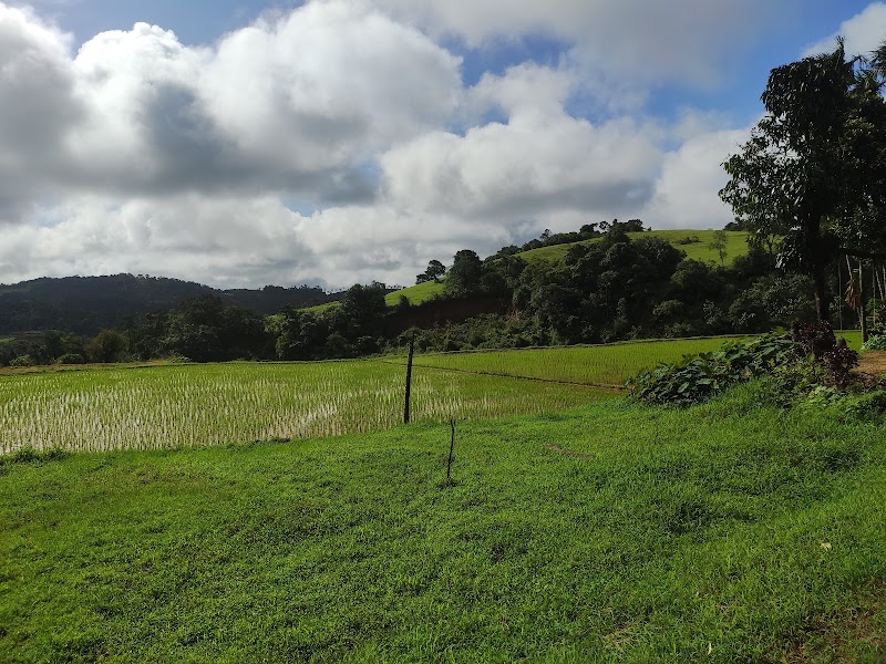 Sakleshpur Homestay / Horrti Green Valley |18 km from sakleshpur town| 2000 per person - Sakleshpur Homestay / Horrti Green Valley |18 km from sakleshpur town| 2000 per person Nudarahalli village, kyanhalli, WQWQ+3H8, Bengaluru - Mangaluru Hwy, Sakleshpura, Kalaginamanchahalli, Karnataka 573134, India