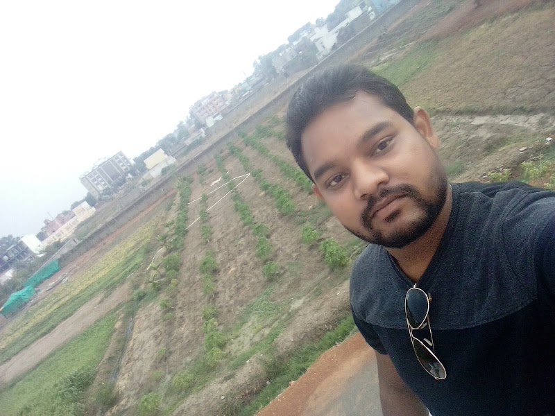 Pt. Ramnarayan Shastri Bal Udyan - Pt. Ramnarayan Shastri Bal Udyan, 3595+4GP, Vidya Nagar Rd, Vidya Nagar, Chhattisgarh 495004, India