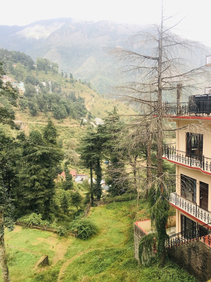 Snow View Residency Hotel - Snow View Residency Hotel Shivam marg, Jogiwara Rd, McLeod Ganj, Dharamshala, Himachal Pradesh 176215, India