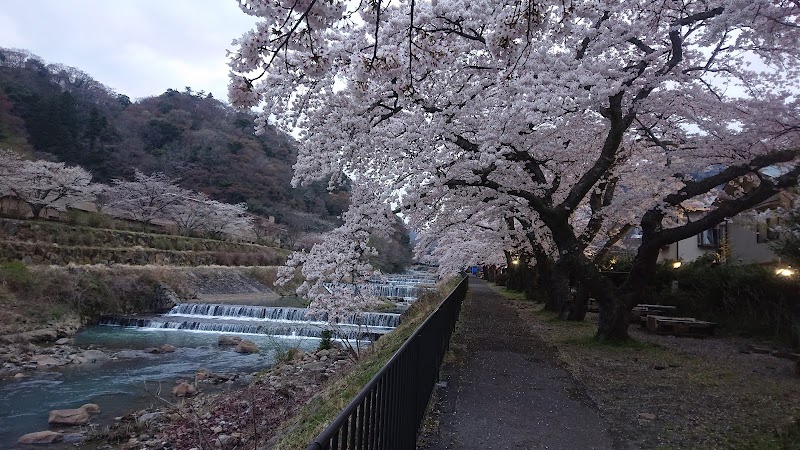 Miyagino - Miyagino, Hakone, Ashigarashimo District, Kanagawa 250-0401, Japan