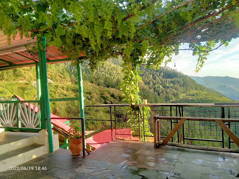 Himalayan Orchard - Himalayan Orchard Reoghati Rd, Rukhla, Himachal Pradesh 171204, India