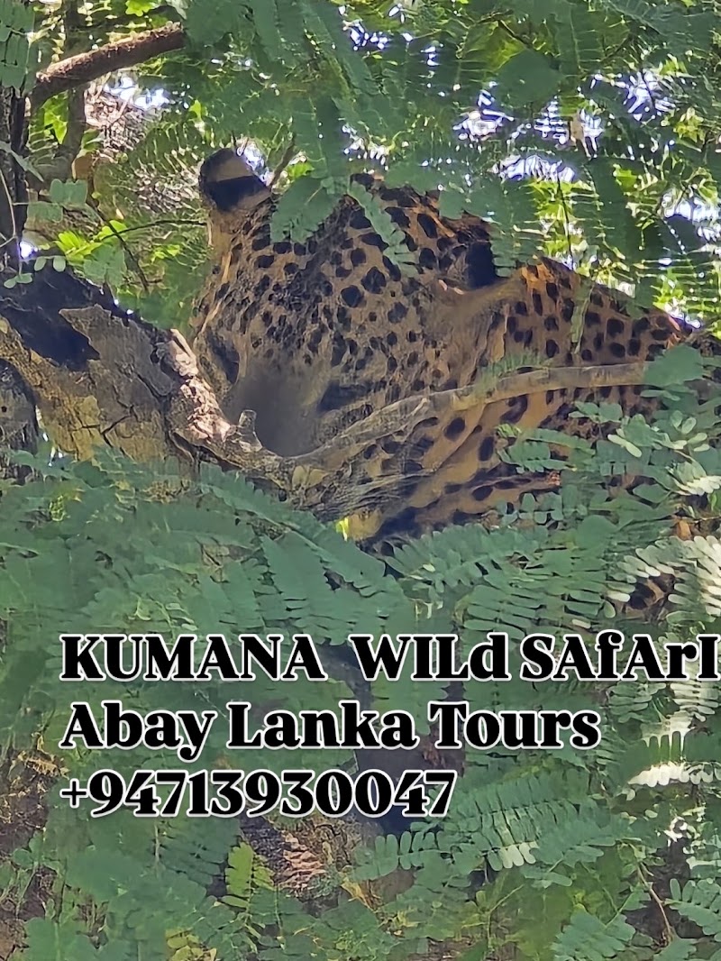 Arugambay Lanka Tours ~TAXI & KUMANA SAFARI - Arugambay Lanka Tours ~TAXI & KUMANA SAFARI No 5 Main Street, Arugam Bay 32500, Sri Lanka