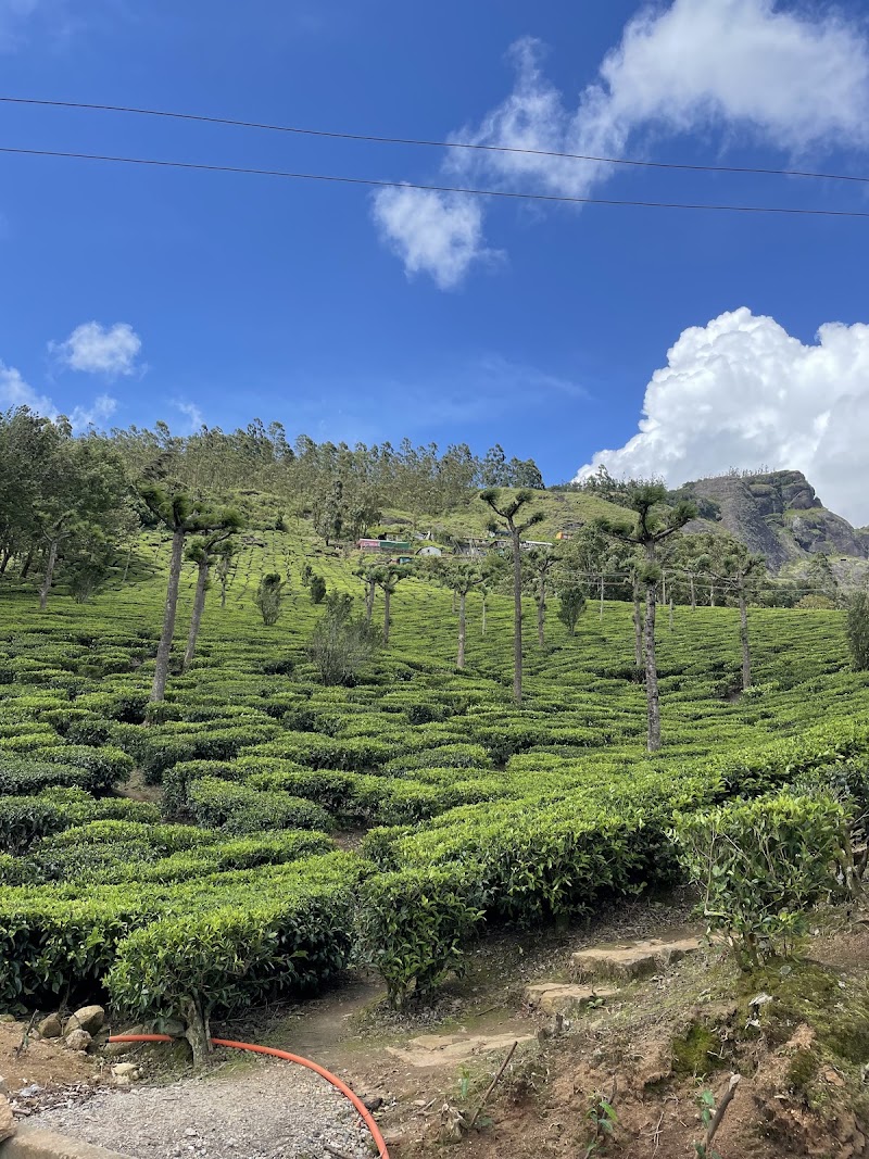 GoCamp - GoCamp, Suryanelli, Base camp of kolukkumali, Munnar, Suryanelli, Kerala 685618, India
