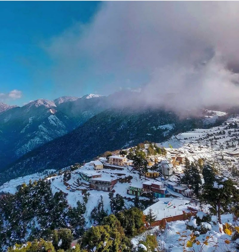 Apple Orchard Homestay - Apple Orchard Homestay, Sankri Sankri, Mori-Sankari Rd, Mori, Motwat, Uttarakhand 249128, India