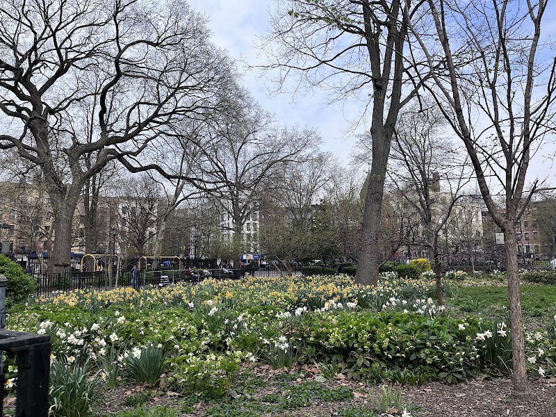 Tompkins Square Park - Tompkins Square Park E 10th St, New York, NY 10009, USA