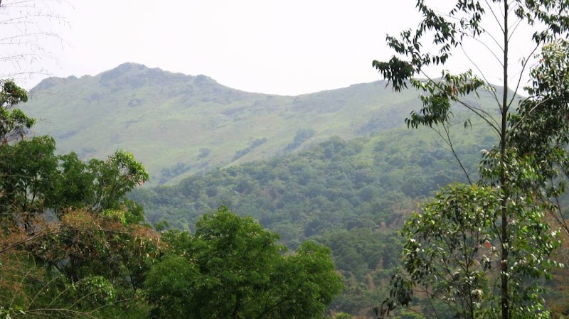 Wayanad Wildlife Santuray