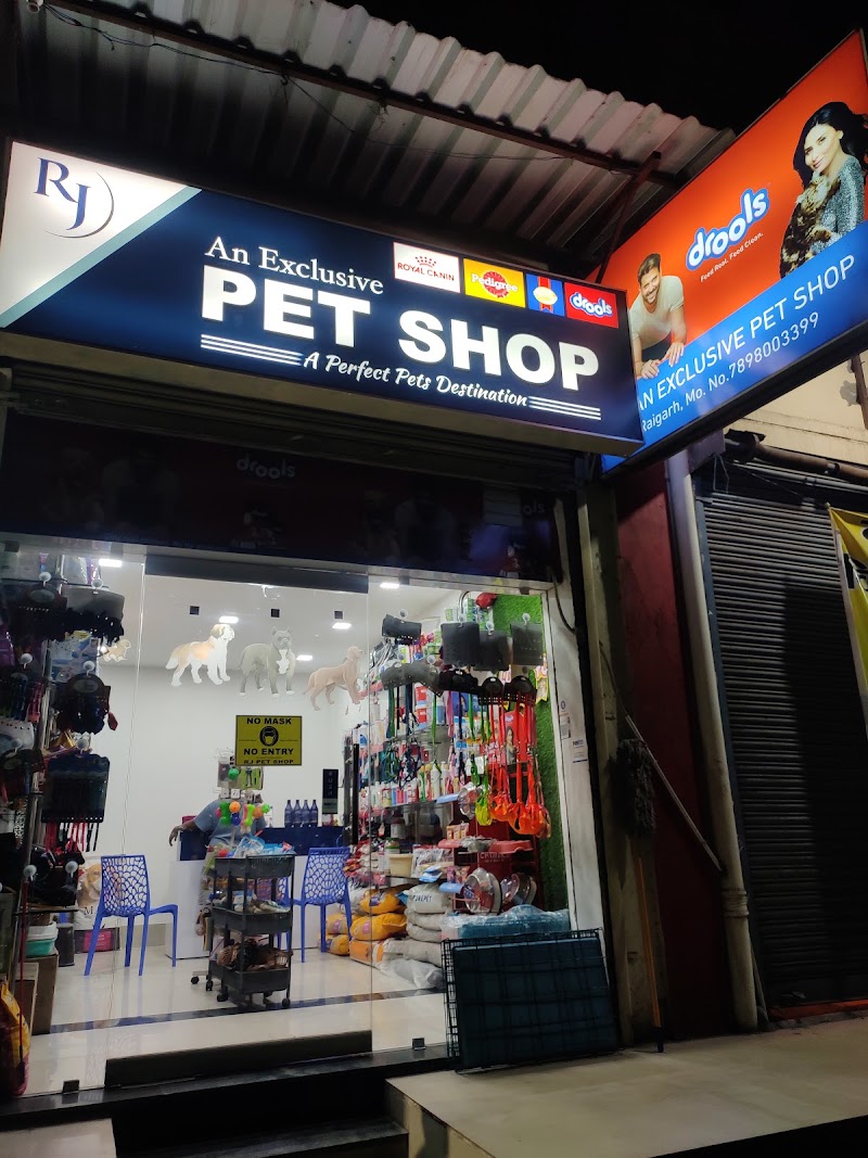 RJ AN EXCLUSIVE PET SHOP - RJ AN EXCLUSIVE PET SHOP, T.V Tower Road Side Of, Shop No.1, Mukherjee Complex, Bsnl Colony, Raigarh, Chhattisgarh 496001, India