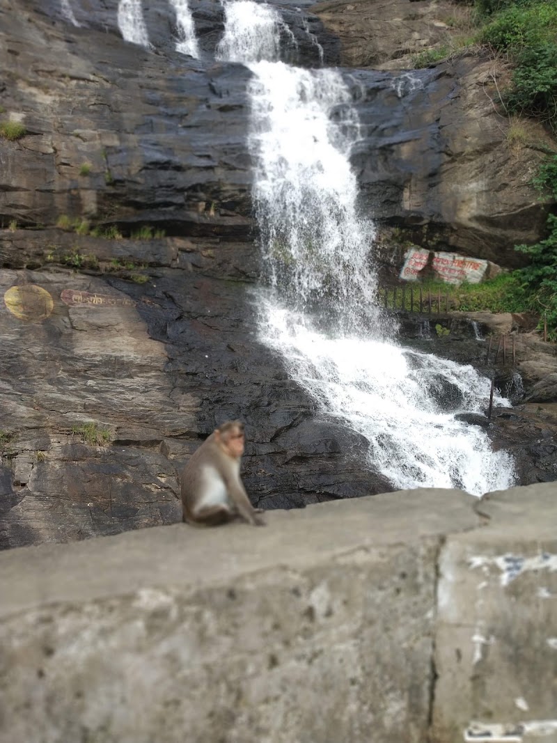 Cheeyappara Waterfalls - Cheeyappara Waterfalls NH 85, Kochi-Madurai-Tondi Point Rd, Chillithodu, Kerala 685561, India